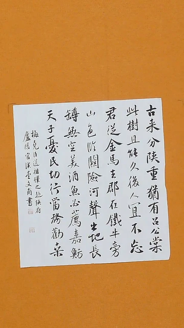书法杨仁根（字文甫）45*45 江西ls