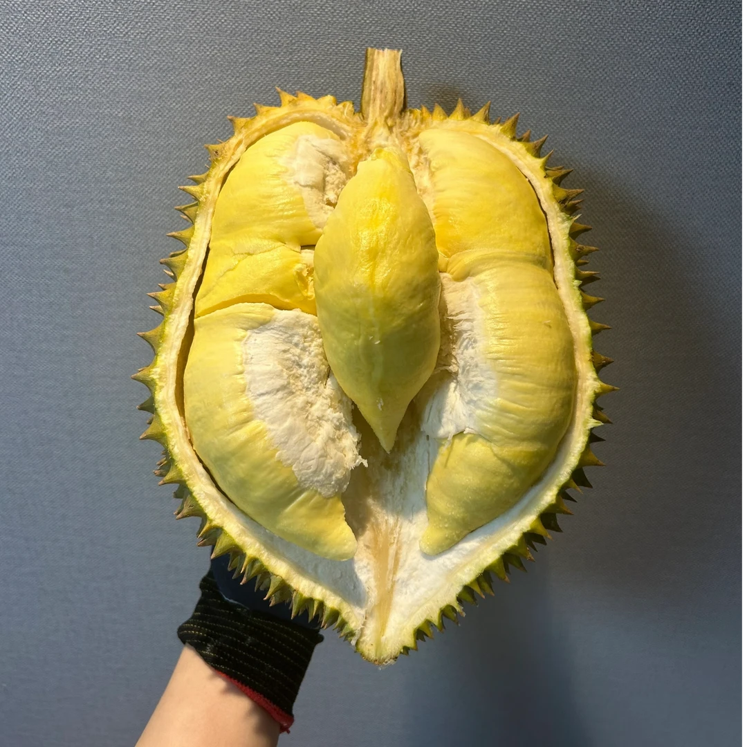 【一物一称】泰国树熟火山金枕榴莲（2-10斤）新鲜榴莲核小金枕泰国