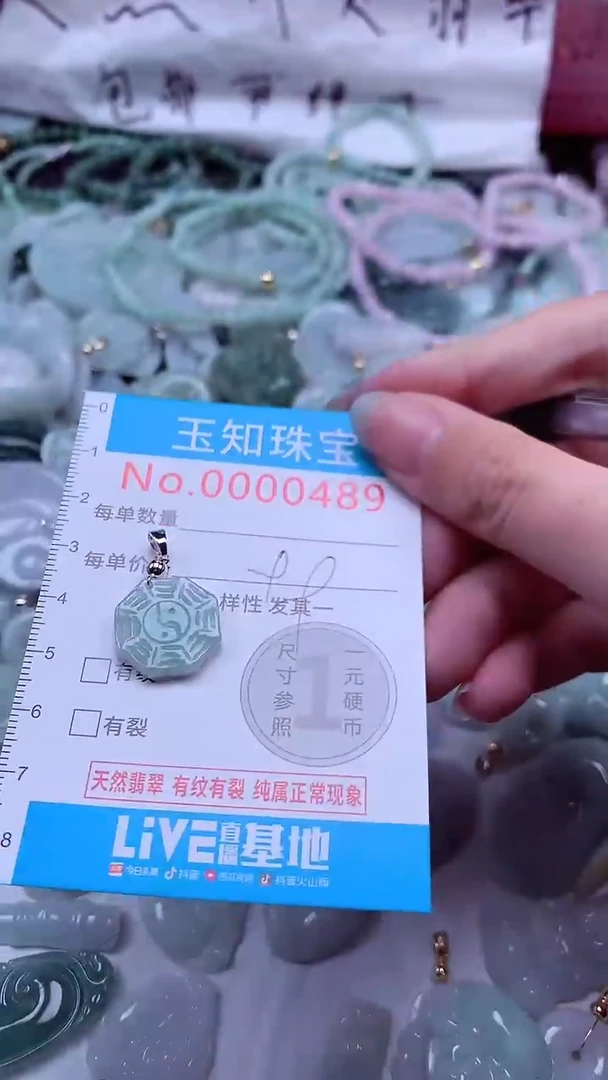 翡翠未镶嵌吊坠(不含链)489