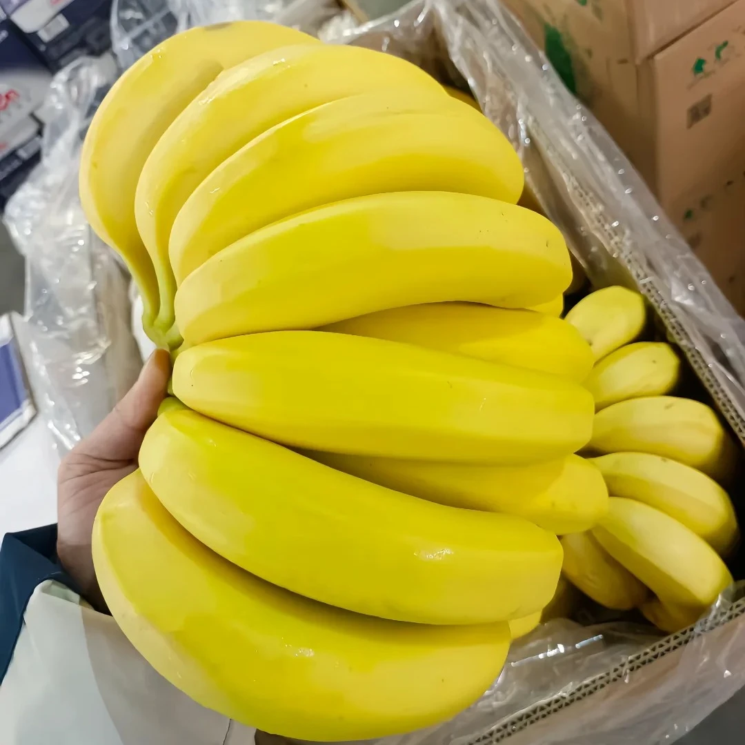 海南香蕉【4.5斤】甜【如遇质量问题直接联系客服】