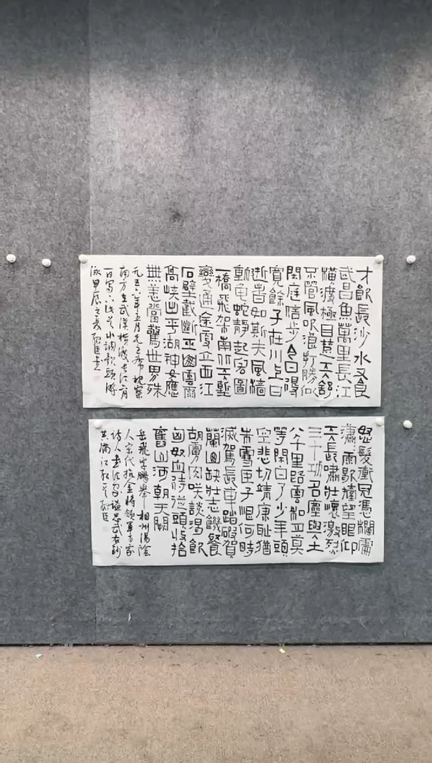 【闪购商品】书法pmw不二轩旗舰店书法SSC29