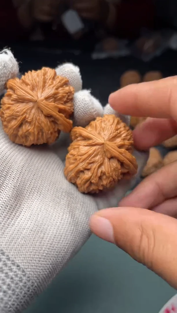 核桃a264  白狮子 41尺