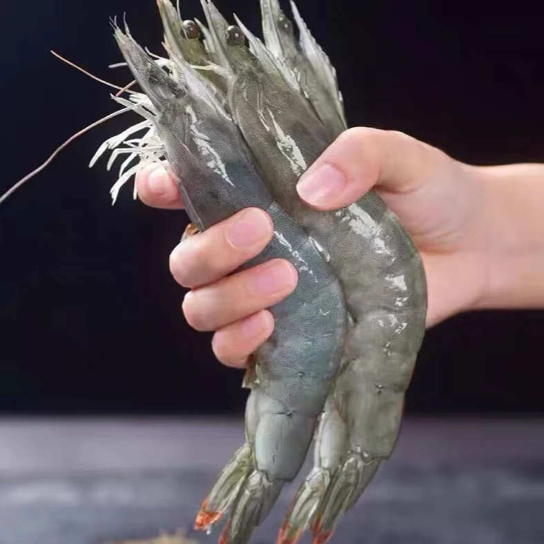 【青岛大虾3斤送1斤】 2030规格 肉质鲜甜脆嫩 一箱4斤 单只15-18cm 40-50只  顺丰多仓发货海洋大虾