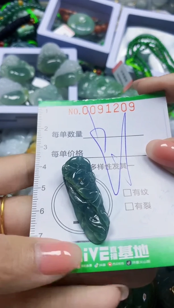 颈饰未镶嵌翡翠翡翠闪购Y0091209