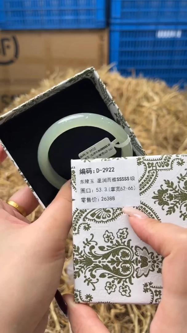 未镶嵌手镯石英质玉D-2922