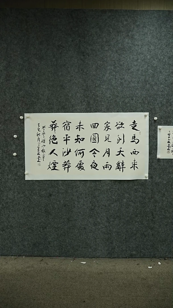 国画书法SXW老师书法作品