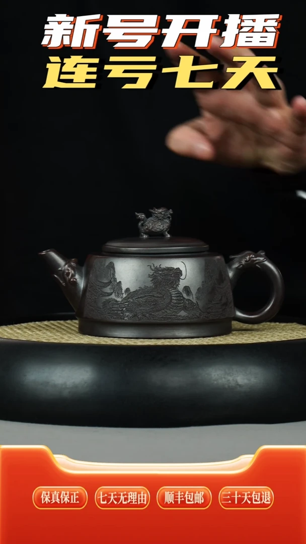 茶壶紫砂乌金铁极星 龙龟壶龙纹刻绘