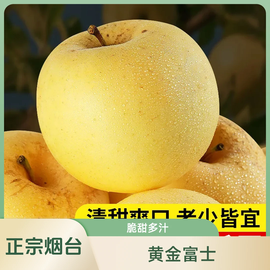 [正宗]烟台黄金奶油富士苹果产地直发