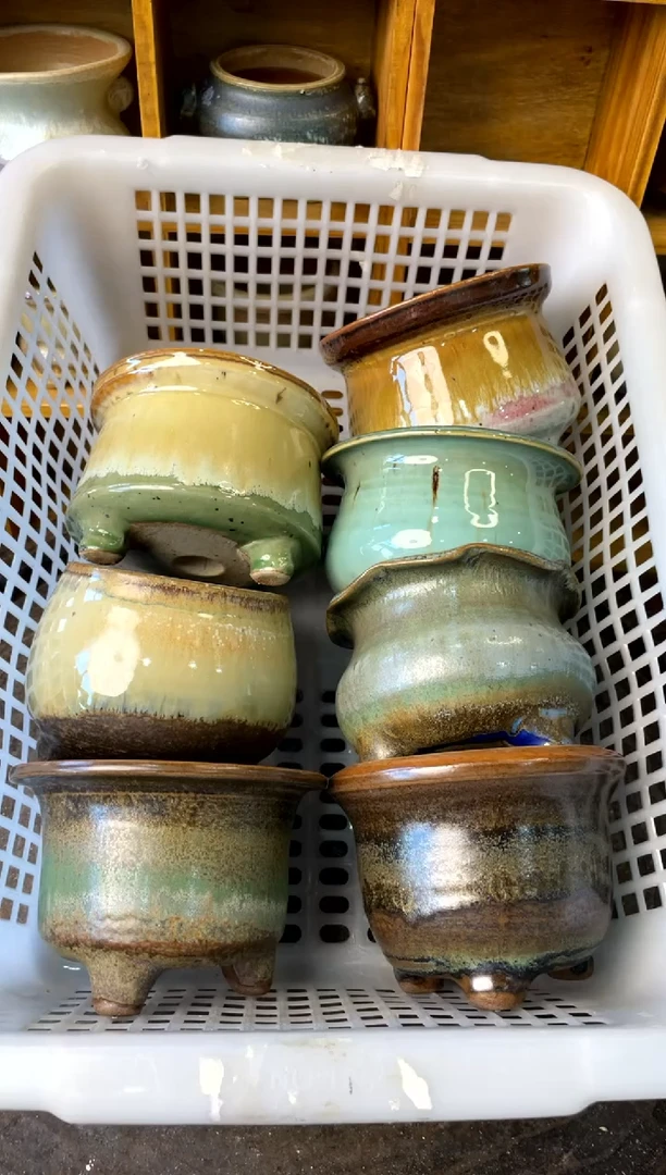 【闪购商品】陶789【年终大促福利套】