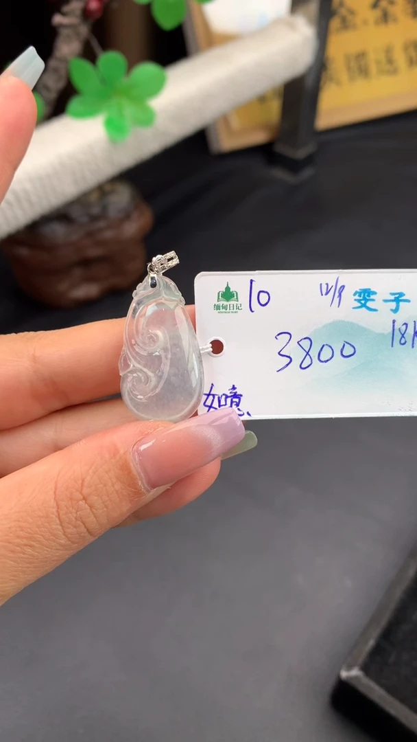 颈饰未镶嵌翡翠自带#送人#，联系客服核对地址~