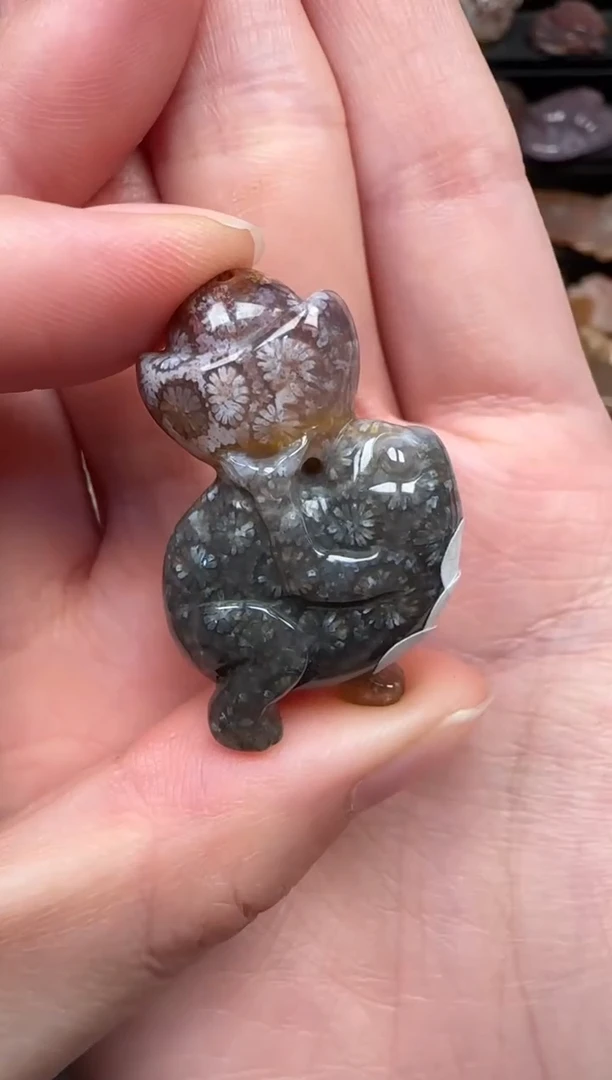 颈饰未镶嵌硅化珊瑚（珊瑚玉）589