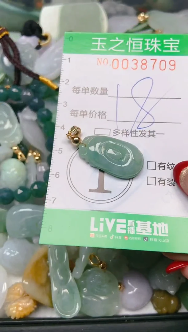 【闪购商品】翡翠颈饰未镶嵌闪购0038709