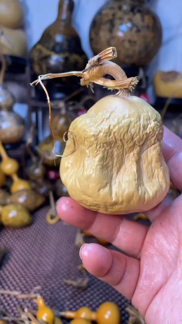 【闪购商品】葫芦葫芦葫芦葫芦