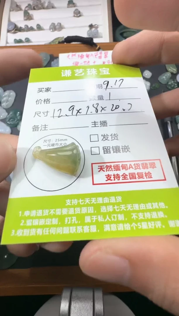颈饰未镶嵌翡翠