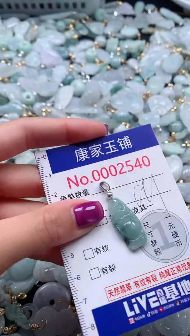 颈饰未镶嵌翡翠2540