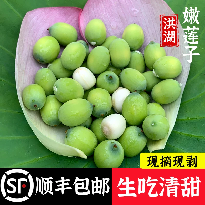 洪湖新鲜嫩莲子米生吃嫩莲蓬米当季孕妇水果现摘水果莲蓬湖北特产