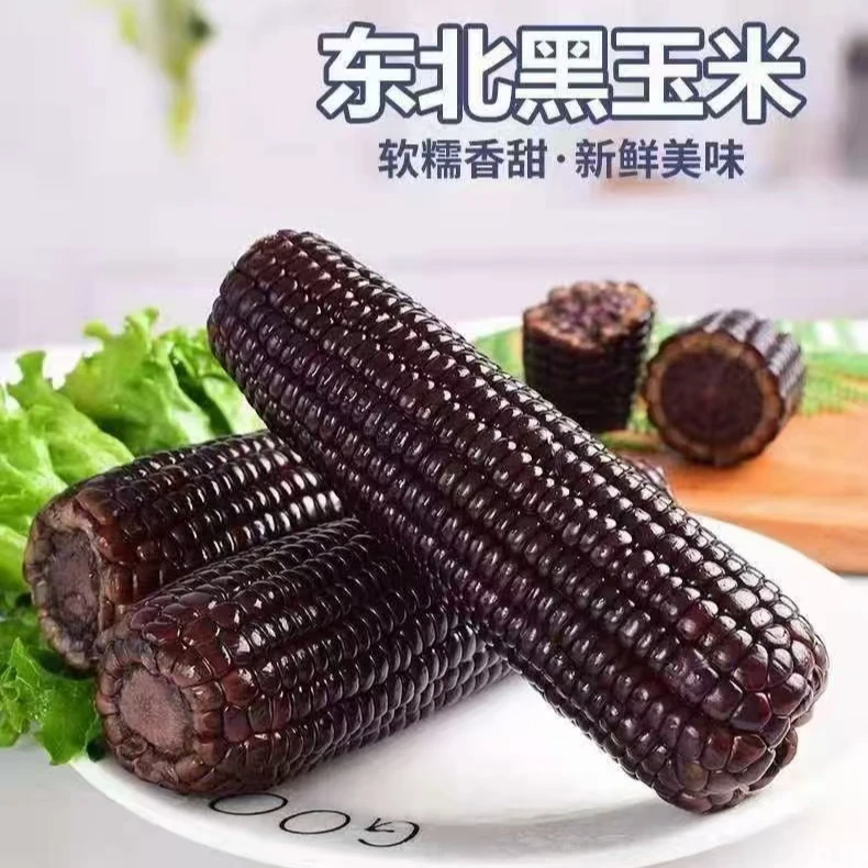 【整箱8-9斤】25年头茬黑糯玉米(280-350g)拍10送4发14支试吃4支