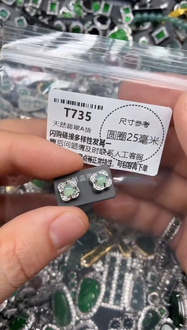 翡翠未镶嵌颈饰T735耳钉