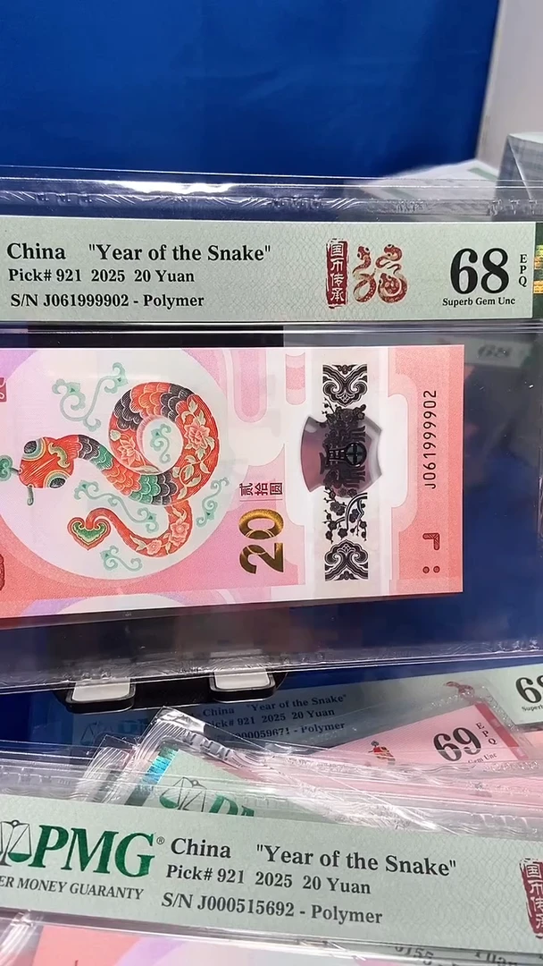 塑料朦胧狮子身061999902