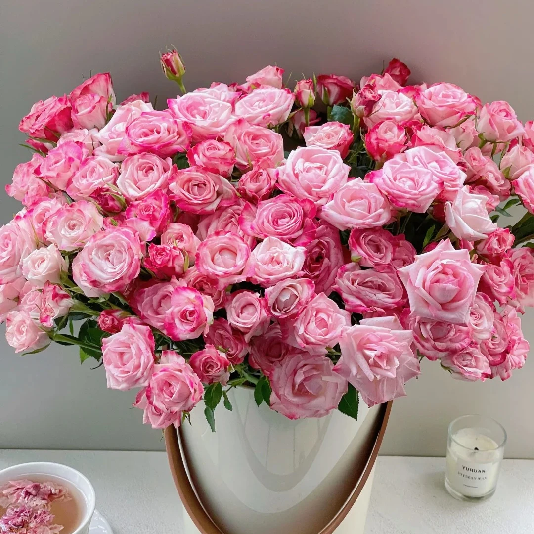 浪琴【高级多头】该品不耐运输，请凑单升级快递，保护花花