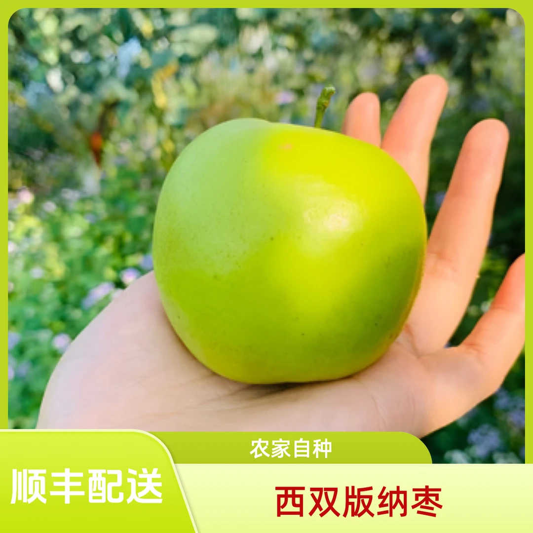 【顺丰包邮】 测糖发货橄榄坝自家苹果枣高糖带小花和糖斑