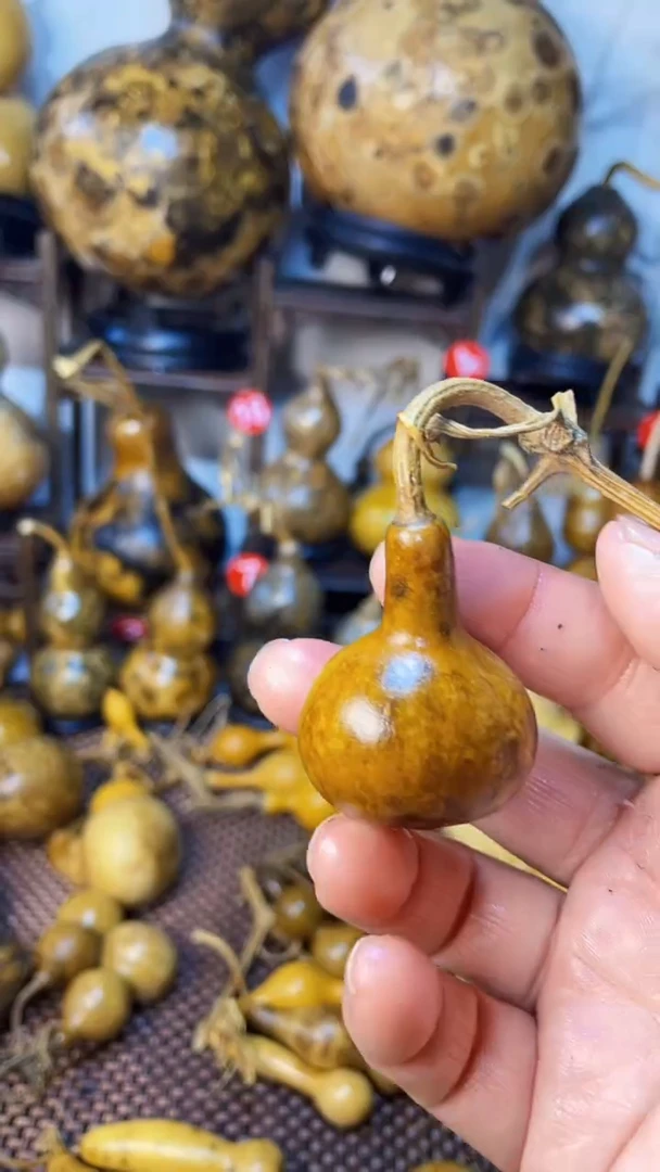 【闪购商品】葫芦葫芦葫芦葫芦葫芦