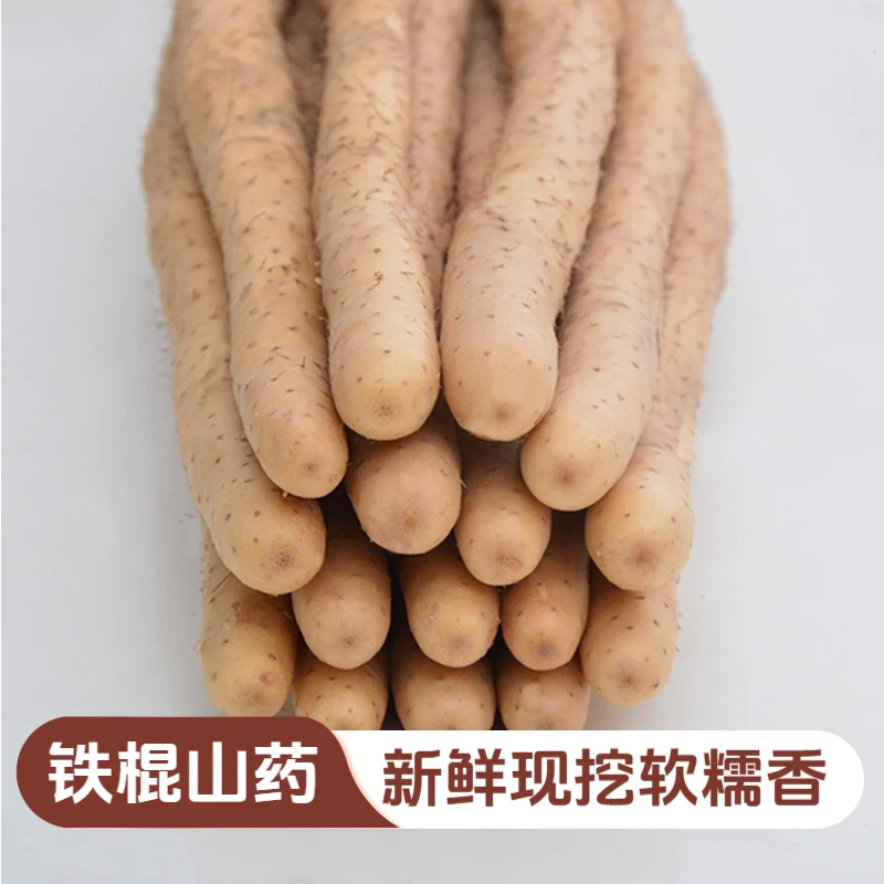 铁棍山药软糯香甜产地直发生鲜蒸煮煲汤五斤30-40cm