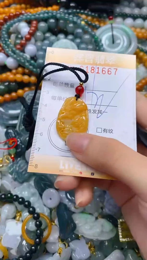 翡翠未镶嵌颈饰闪购0181667多样性发其一