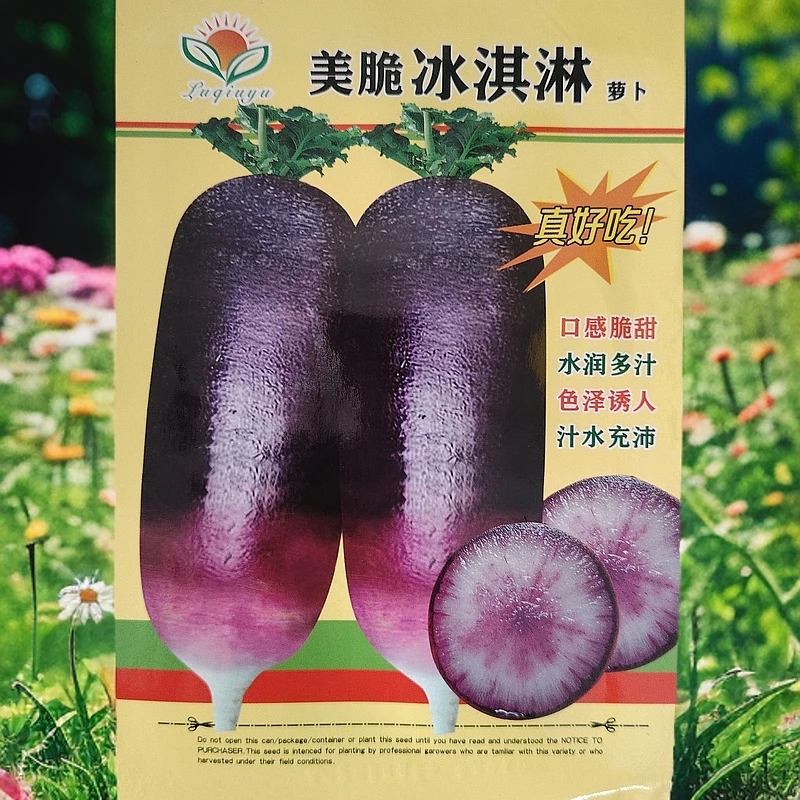 美脆冰淇淋萝卜籽100粒左右