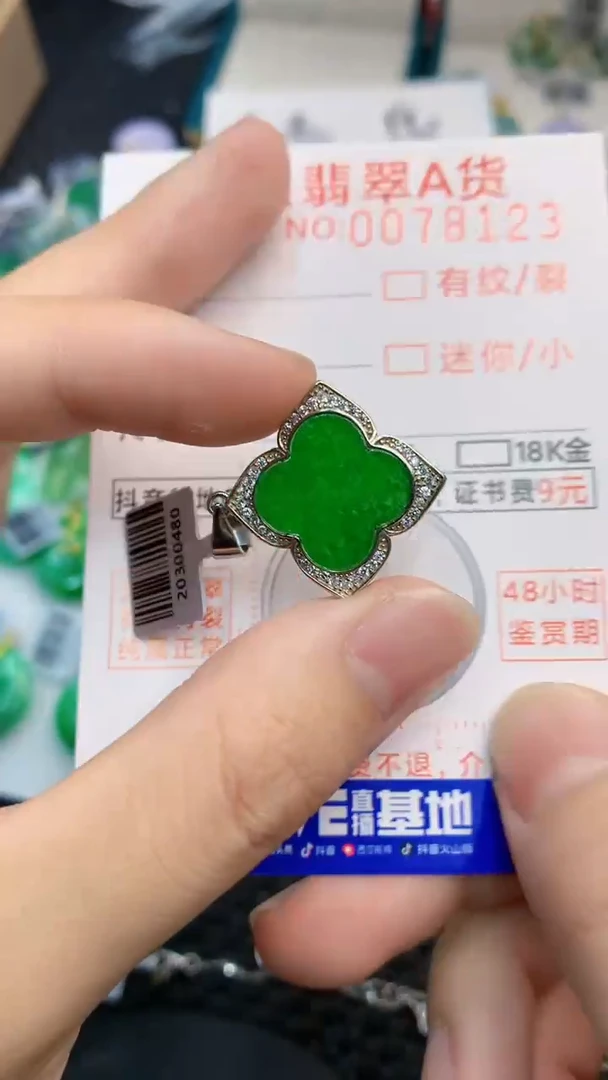 翡翠银S925镶嵌颈饰           1