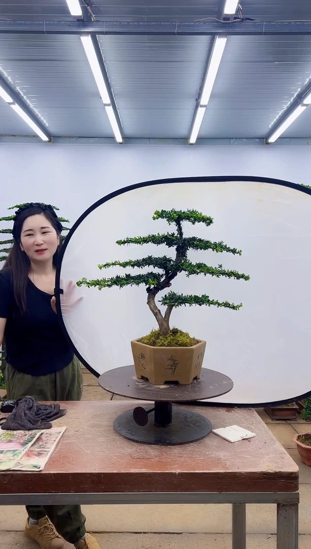 无花朵一物一拍，所见即所得