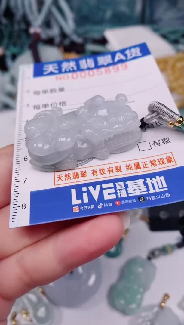 颈饰未镶嵌翡翠00005899