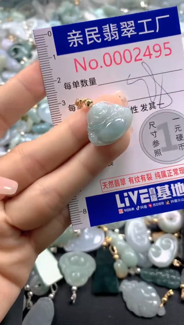 颈饰未镶嵌翡翠2495