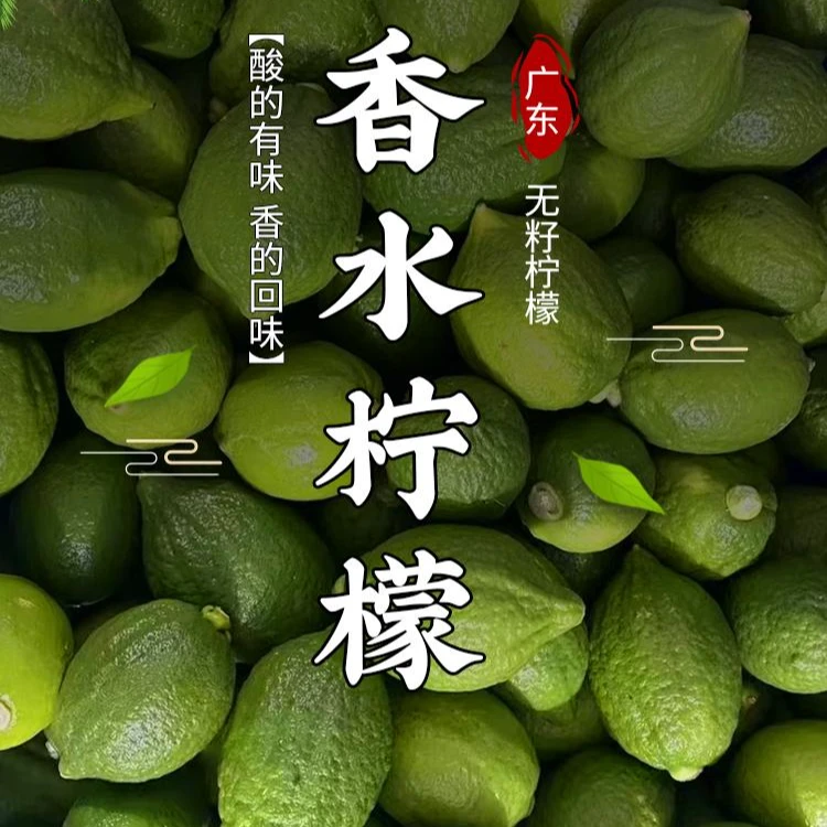 广西鲜果无籽香水柠檬酸爽不苦涩无农药防腐剂现摘直发柠檬茶专用