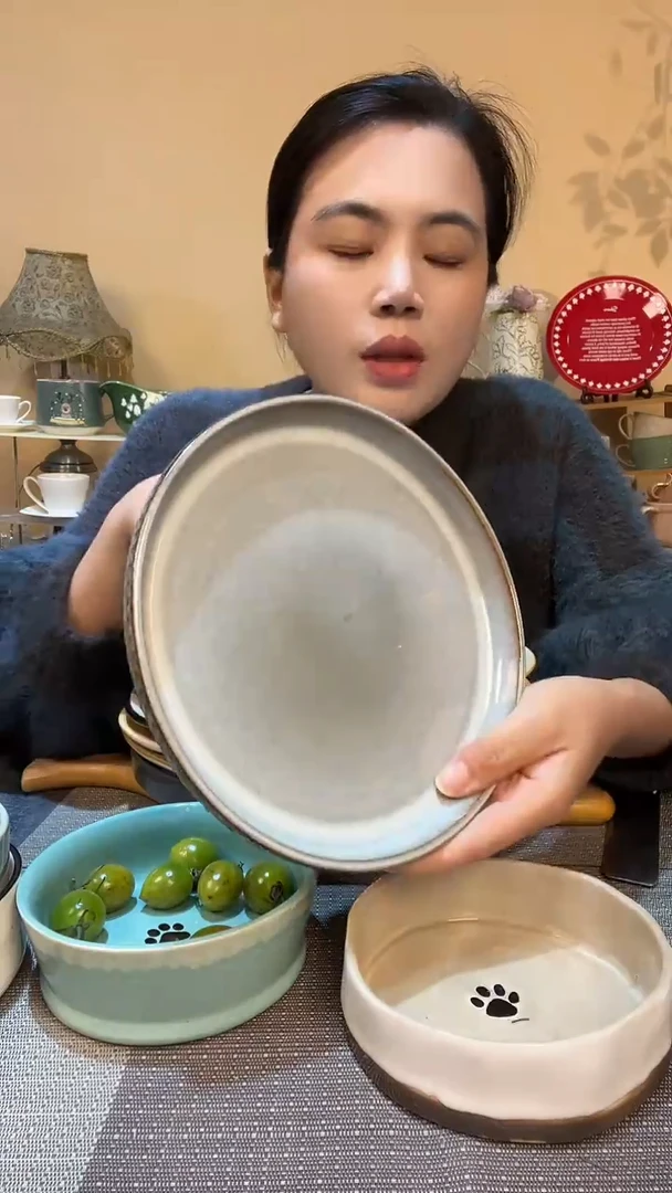 瓷片8英寸凸底盘 微瑕介意勿拍