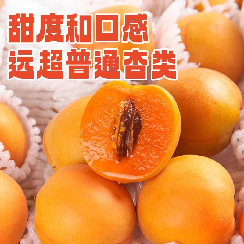 [帝师专属]新疆伊犁吊干杏丨杏味十足·脆嫩爆汁&新疆直发顺丰空运