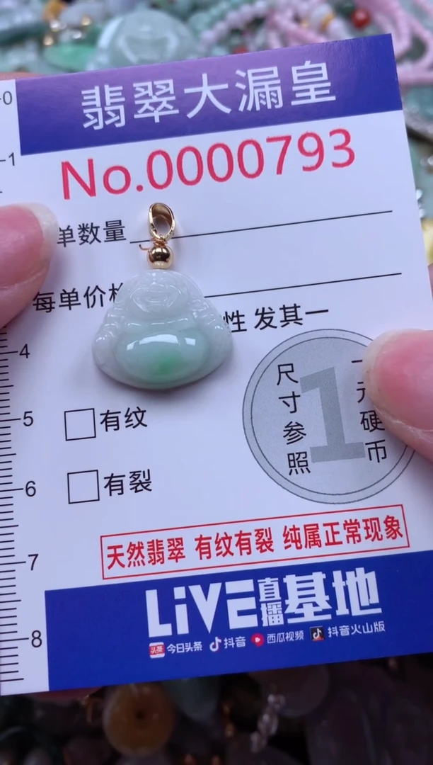 翡翠未镶嵌吊坠(不含链)793