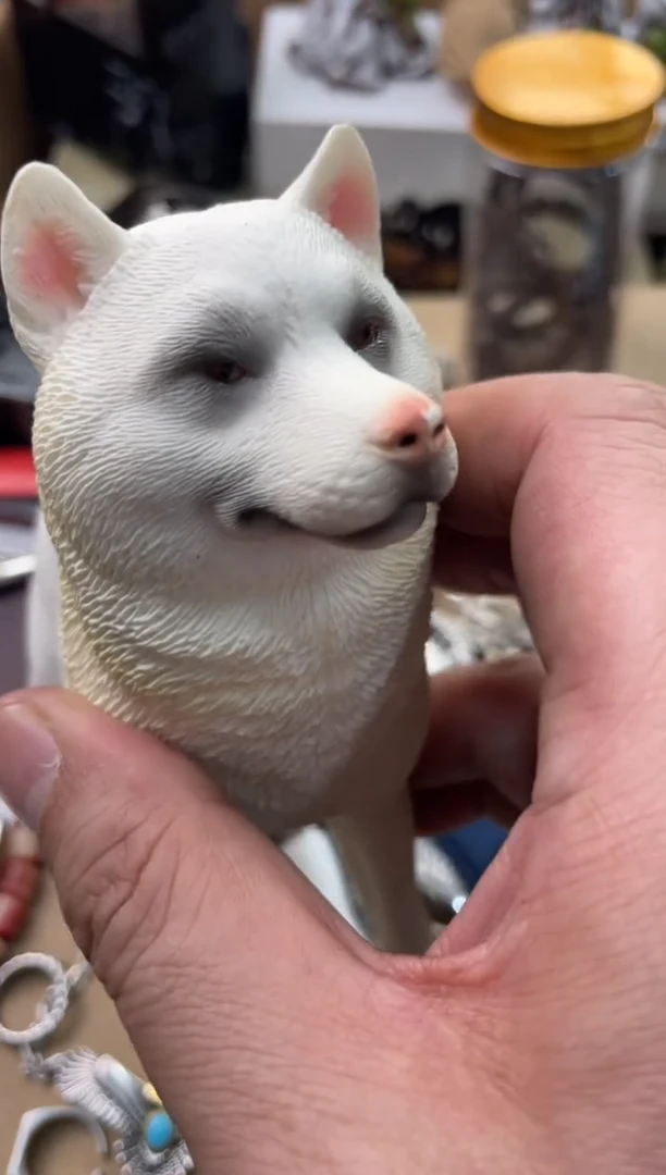 【闪购商品】瓷片嘉荣当康杂货铺总铺