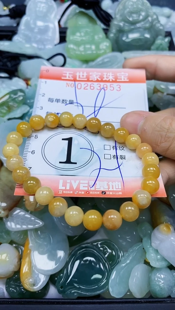 翡翠未镶嵌颈饰闪购0263953多样性发其一