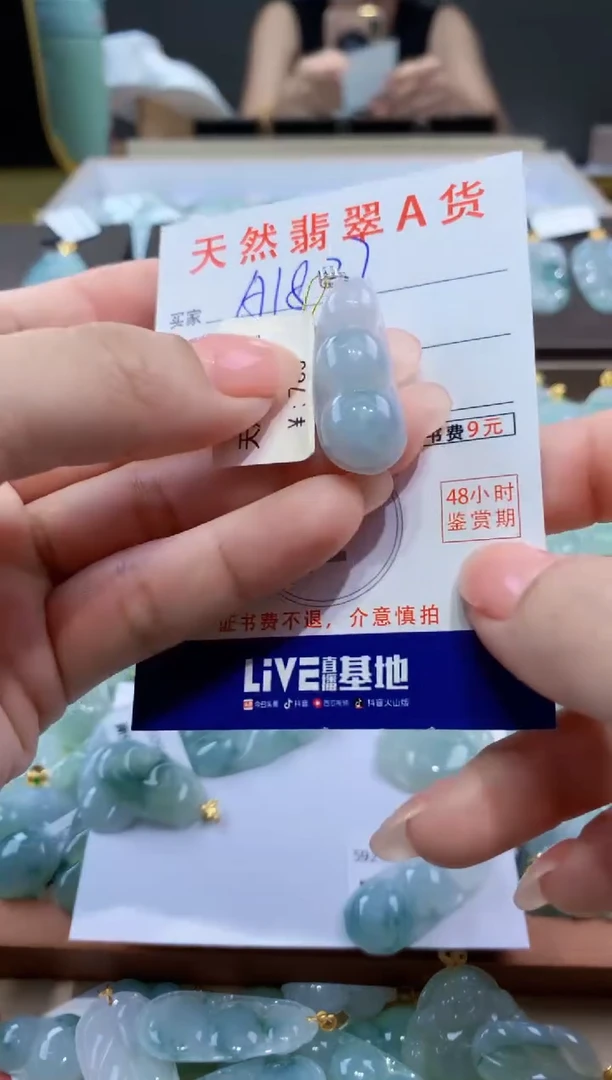 颈饰未镶嵌翡翠天然翡翠A货挂件