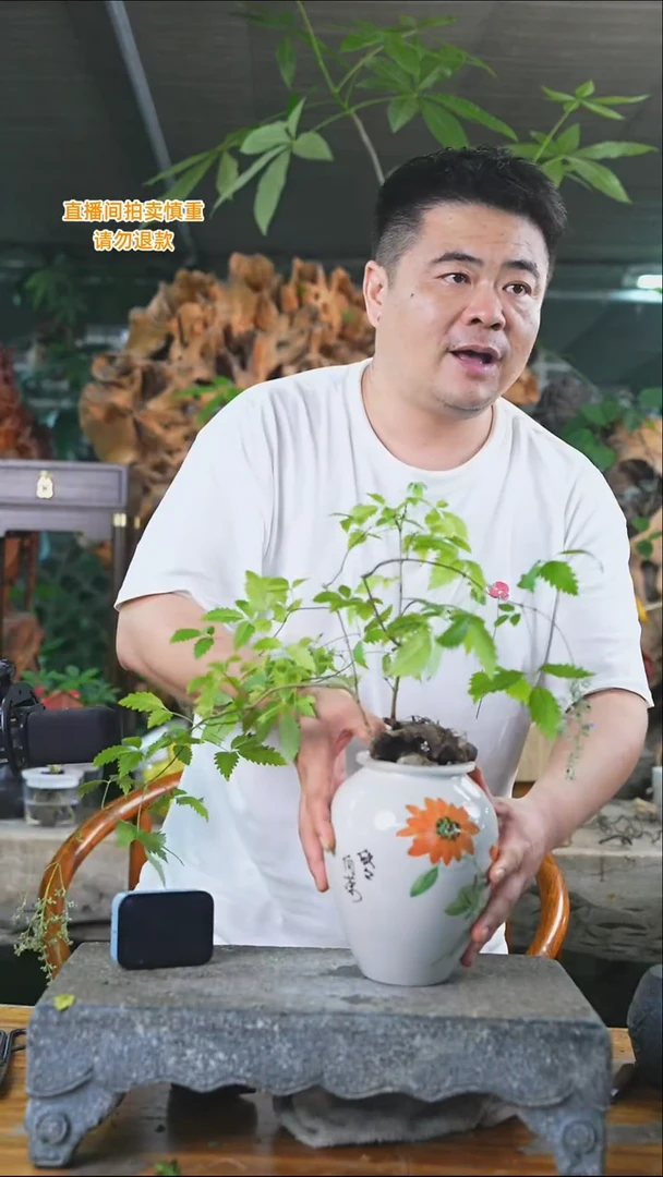 完全开放黄荆580+