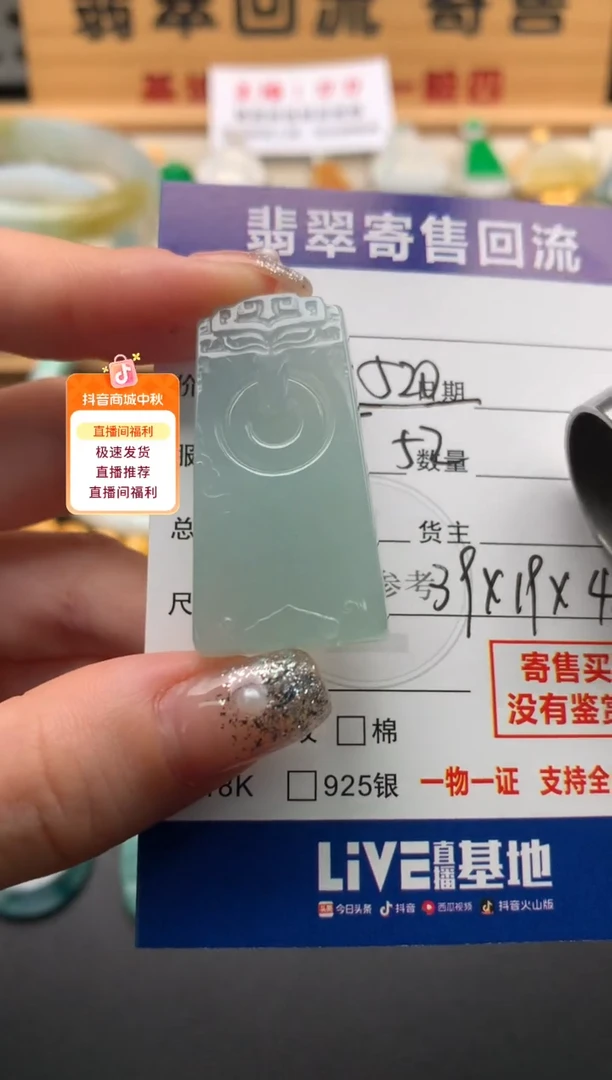 颈饰未镶嵌翡翠10146049