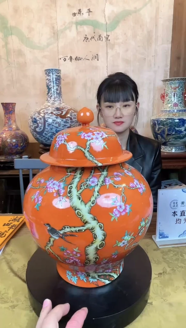 瓶D412景德镇陶瓷