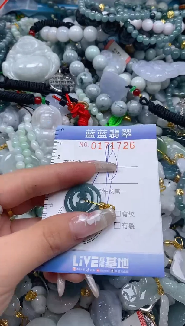 【闪购商品】翡翠颈饰未镶嵌闪购0171726