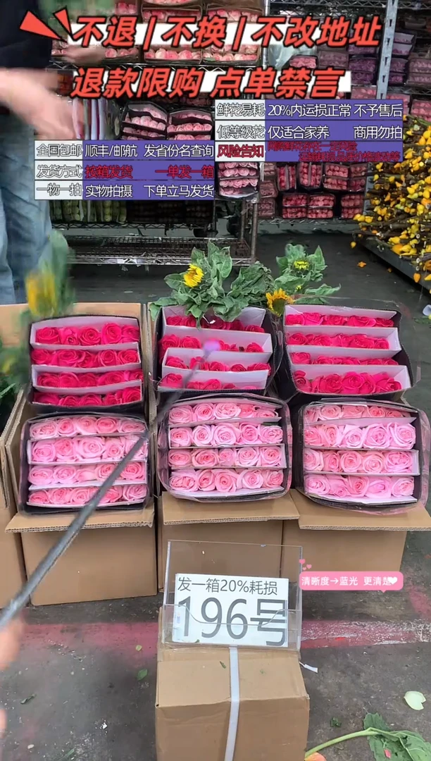 196号♥含20%耗损发一箱