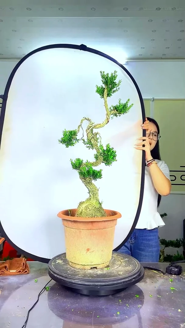 无花朵文人大漏价