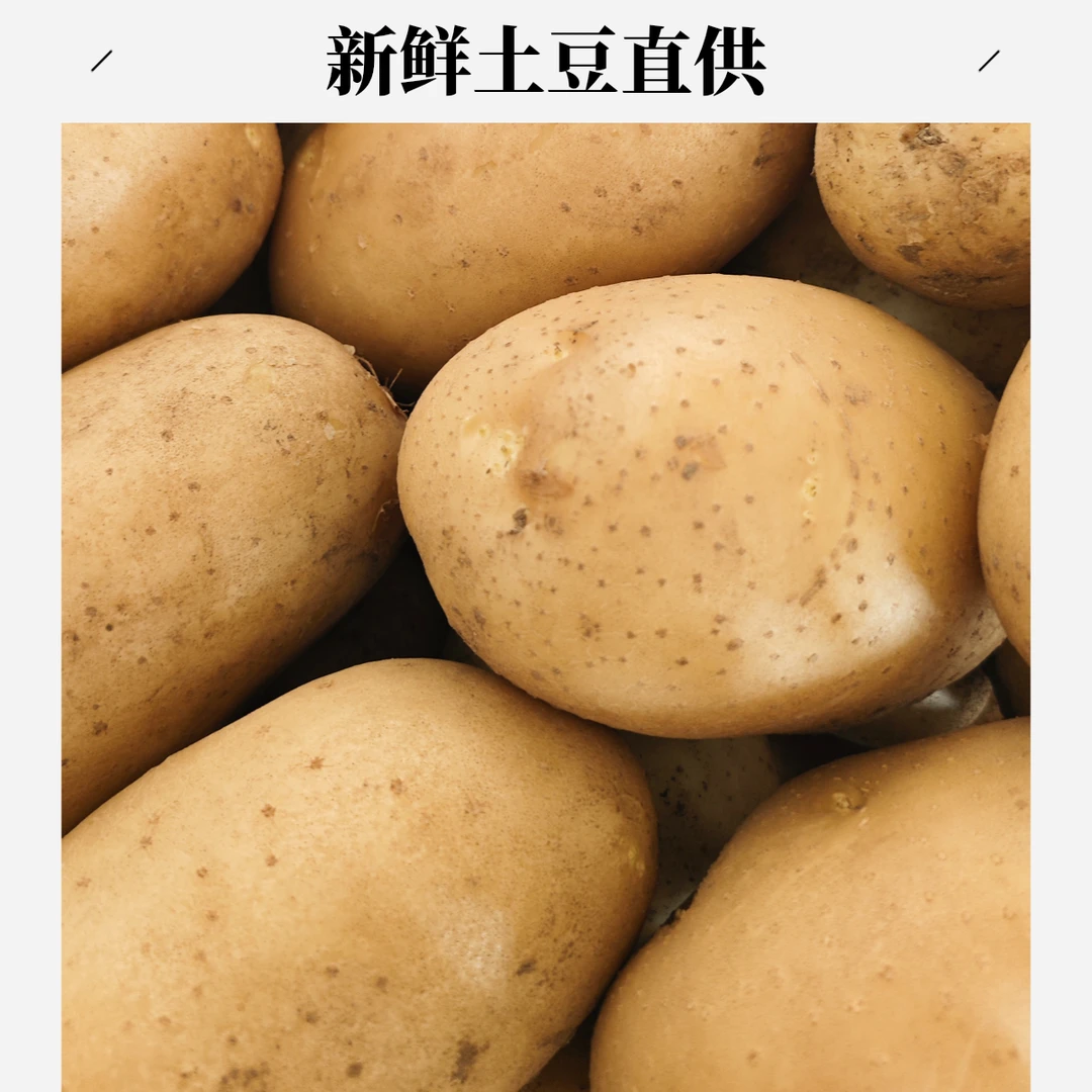 山东黄皮黄心土豆新鲜现挖清脆沙糯粉面口感好