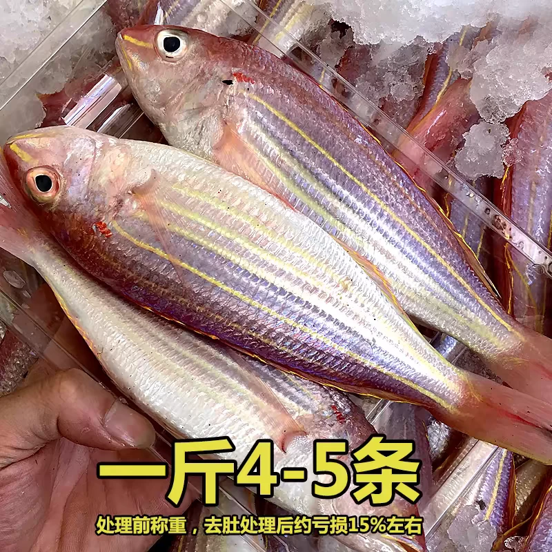 新鲜金线鱼 原条4-5条一斤 三斤真空包装 速冻顺丰包邮