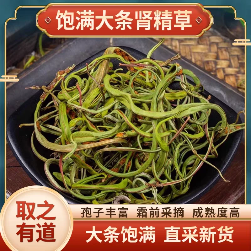 优选长白山肾精天然养生茶搭配枸杞长白山化石草