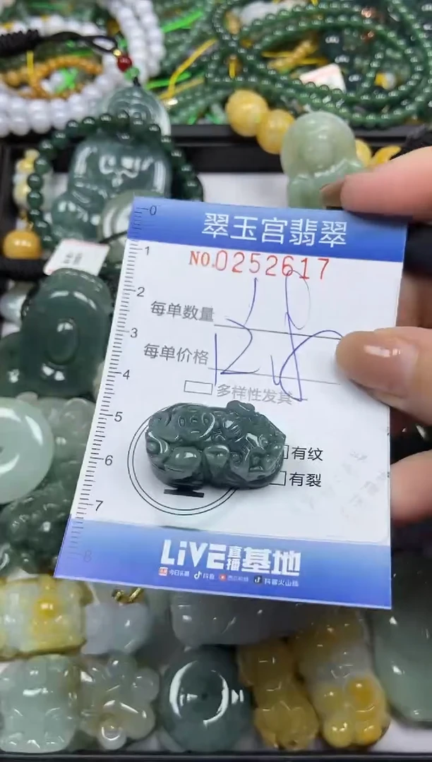 颈饰未镶嵌翡翠闪购C0252617